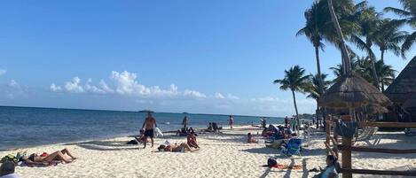 بالقرب من الشاطئ