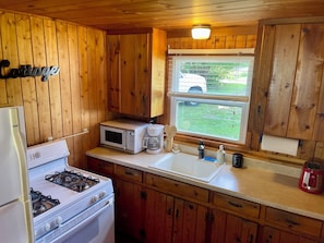 Microwave, oven, stovetop