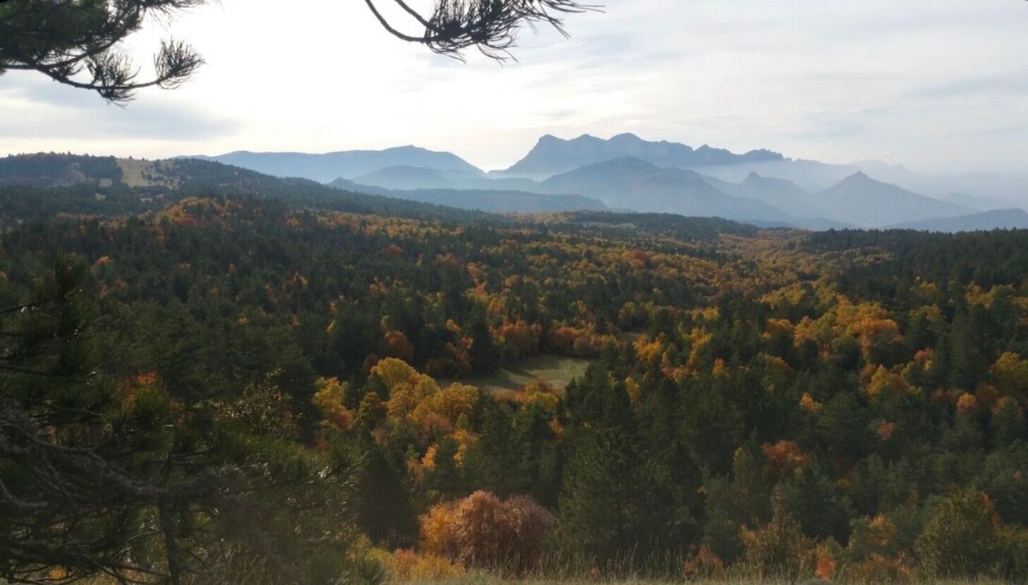 Un paysage montagneux, avec de vastes forêts et un feuillage automnal.