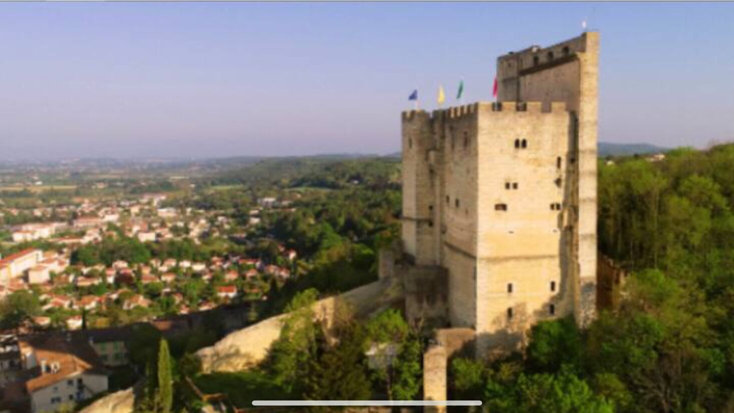 Un castillo con una torre, rodeado de vegetación y con vistas a un pueblo.