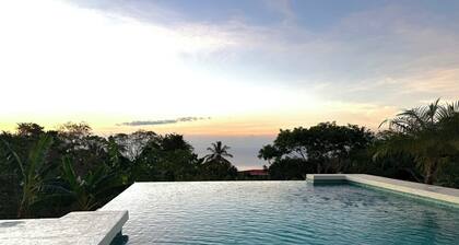 Costa Rica dream: ocean view, infinity pool, surrounded by nature