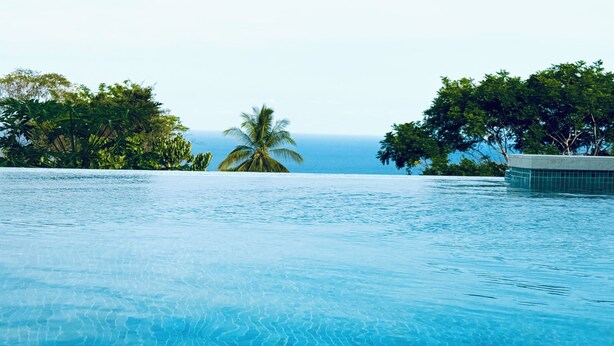 A clear blue infinity pool with a view of the ocean and palm trees. - Costa Rica dream: ocean view, infinity pool, surrounded by nature (Puntarenas Province)