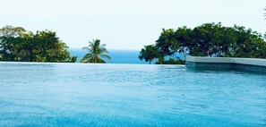Une magnifique piscine à débordement d’un bleu profond, offrant une vue sur l’océan et les palmiers.