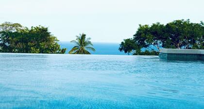 Costa Rica dream: ocean view, infinity pool, surrounded by nature