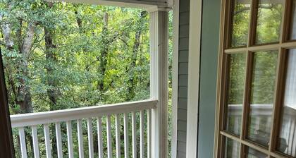 Cozy apt with pool/grill/gym/ac/parking/balcony in safe Duluth. Suburbs of ATL!