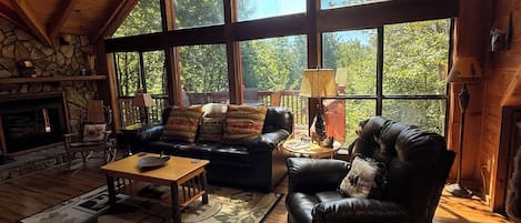 Smart TV, fireplace, books