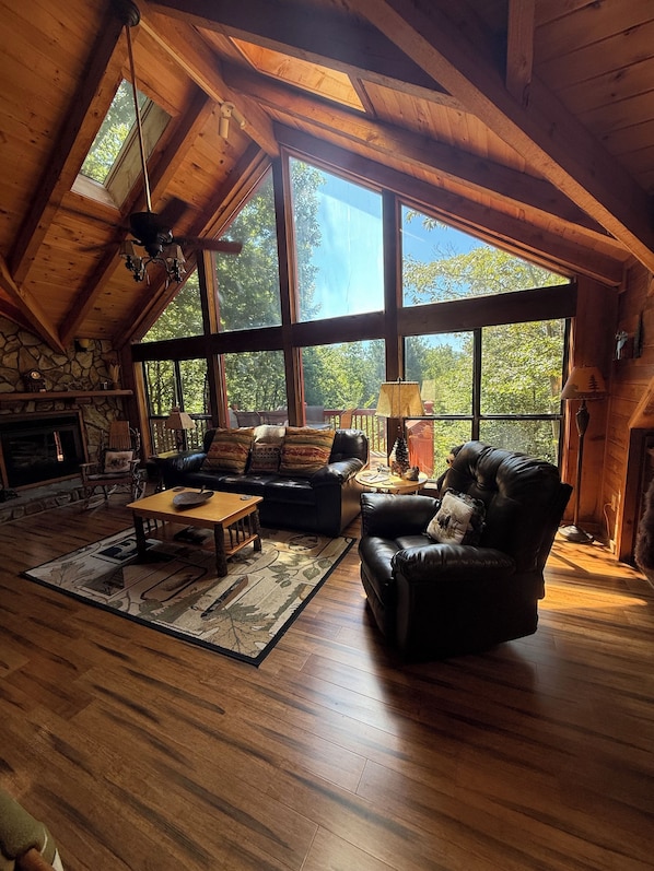 Smart TV, fireplace, books