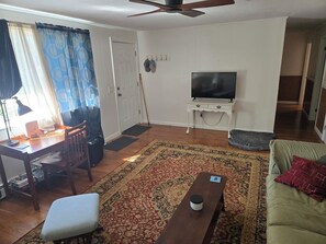 Smart TV, fireplace, books