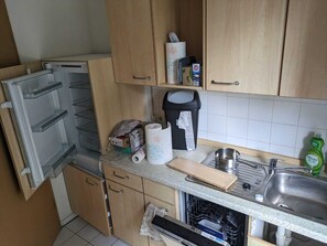 Oven, stovetop, dishwasher