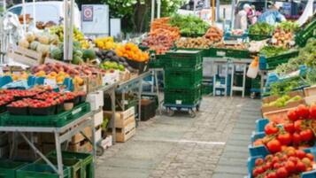 A market with various fruits and vegetables displayed in crates and boxes.