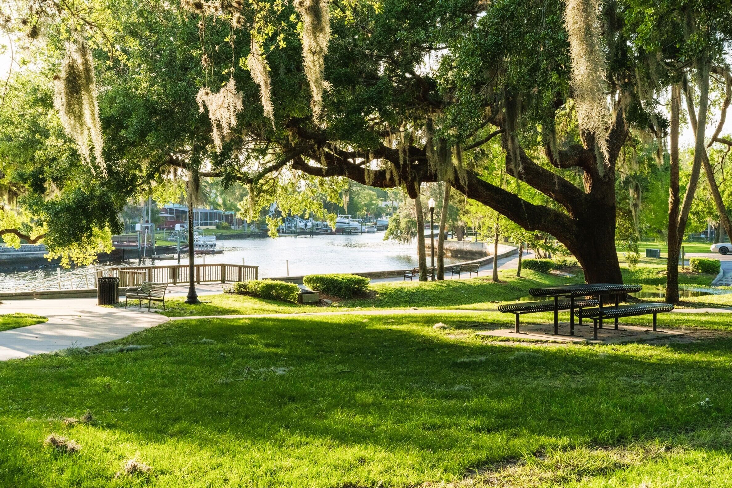 Un parque con un árbol grande, bancos, un sendero y un cuerpo de agua al fondo.