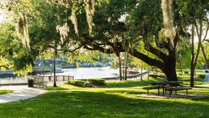 A park with a large tree, benches, a pathway, and a body of water in the background. - Angie's Family-Favorite Lake Home: Heated Pool 3br/3ba (Port Richey)