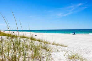 Ein Strand mit Sanddünen und blauem Himmel.