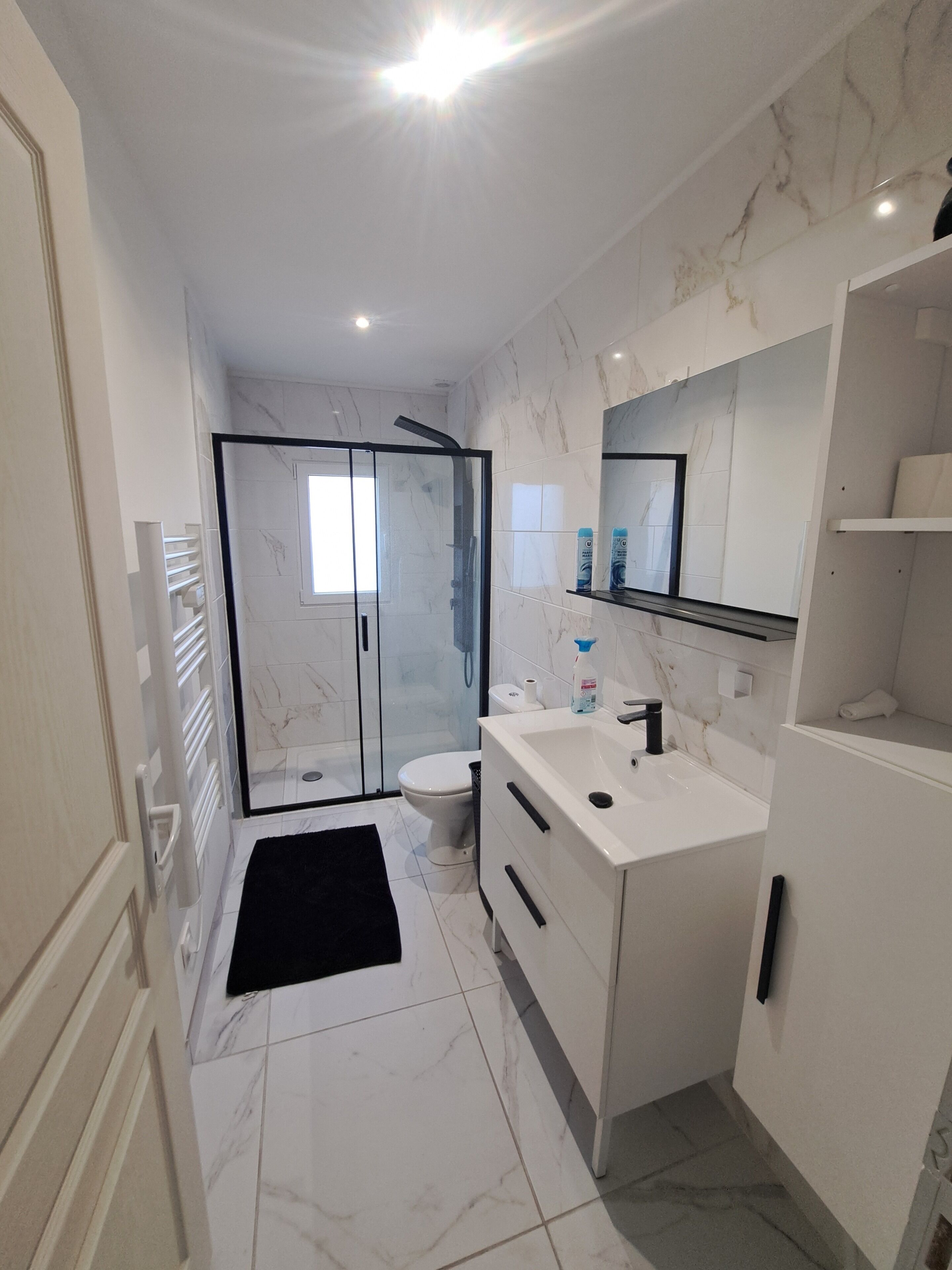 Shower, hair dryer, towels, toilet paper