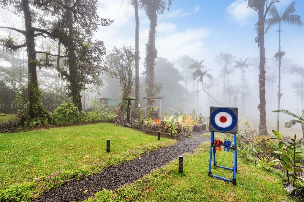 A garden with a target, a path, and tropical vegetation.