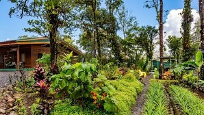Un jardin luxuriant, avec une grande variété de plantes et d’arbres, un bâtiment en bois doté d’un toit végétalisé et des espaces de détente en plein air.