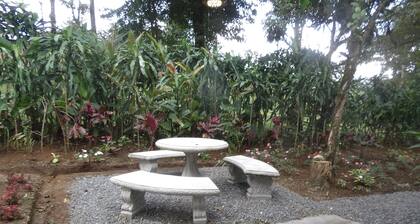 Toucan's Nest-Pura Vidaville: Steps from Rio Celeste Waterfall & Nat'l Park