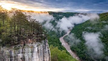 A river winding through a forested valley with a rocky cliff on the left.