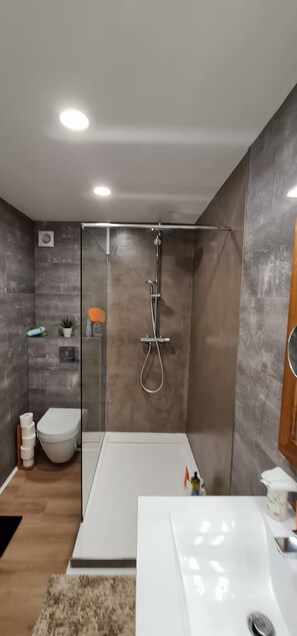 Douche, sèche-cheveux, serviettes fournies, papier toilette