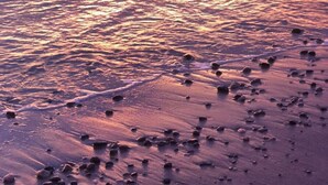 Una playa con rocas dispersas y olas suaves.