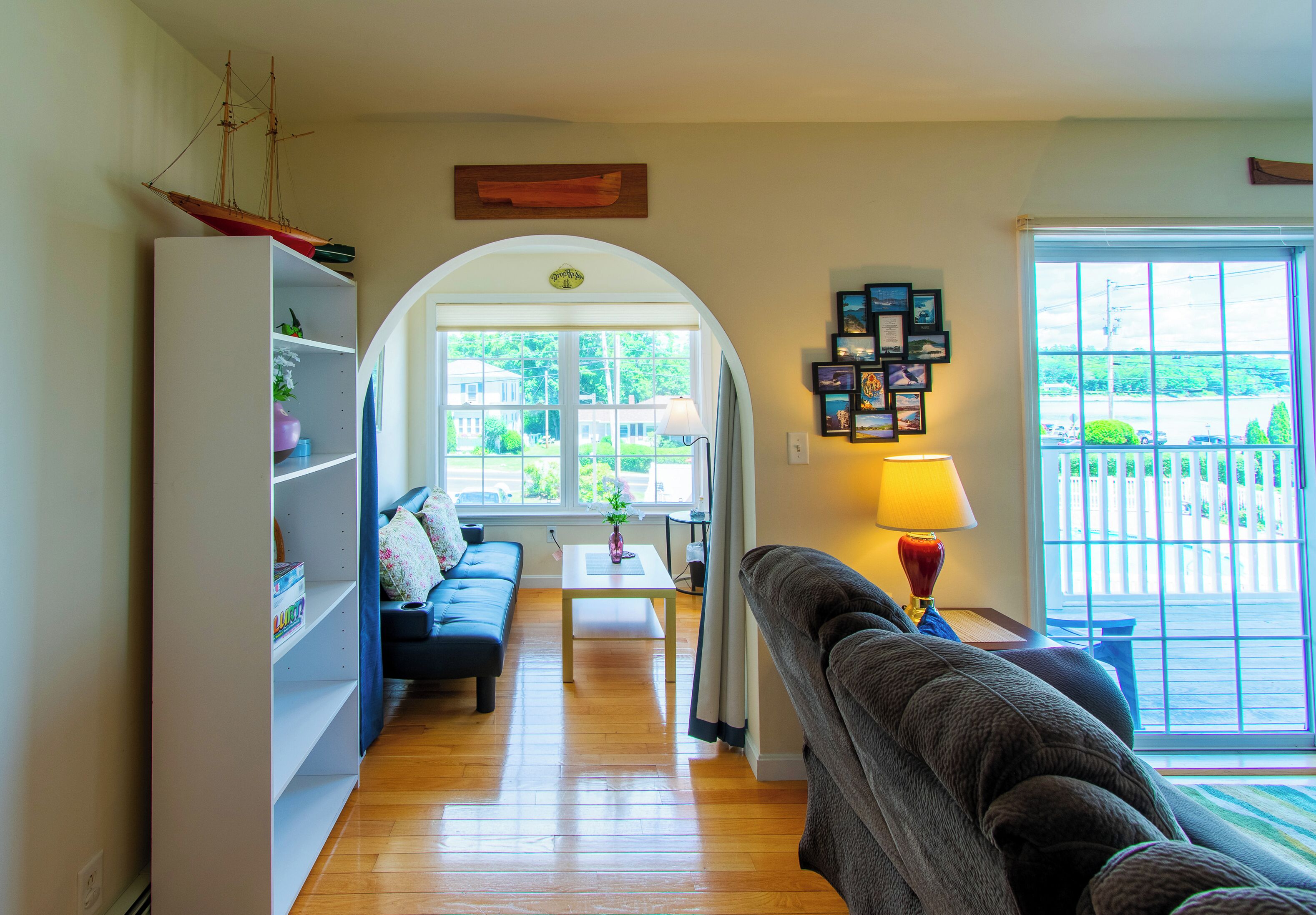 TV, DVD player, books, video library