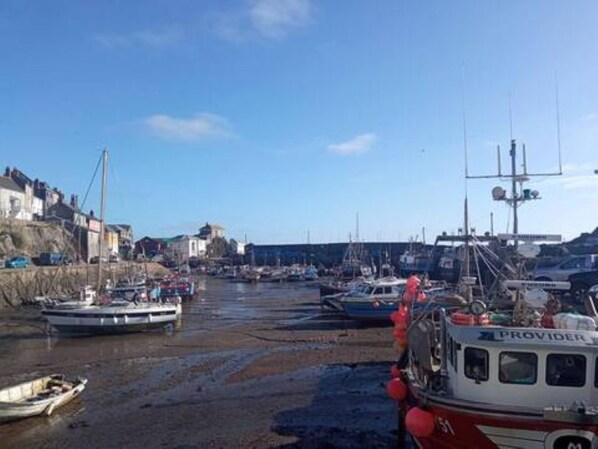 Marina - 1 Bed Cornish Ground Floor Apt In Bodmin, Central Location Free Parking (Bodmin)