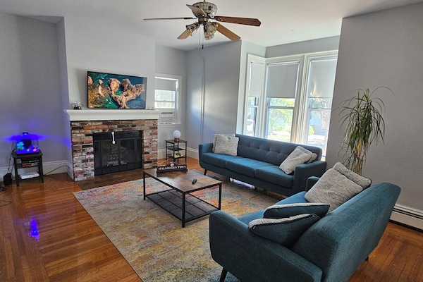 TV, fireplace, computer monitors