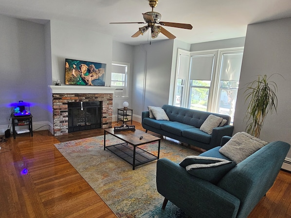 TV, fireplace, computer monitors