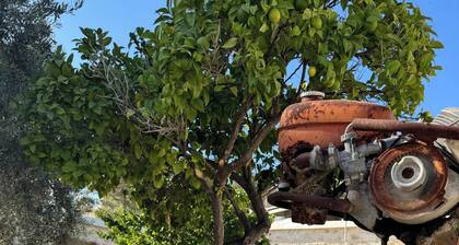 Homemade With Fireplace"