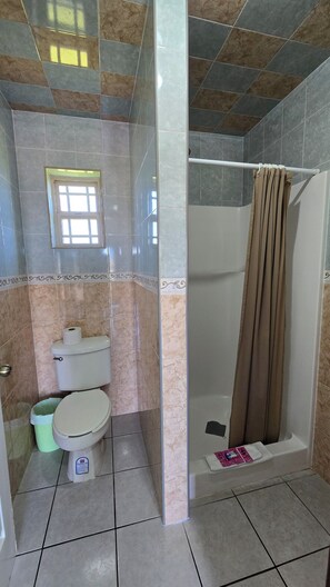 A bathroom with a toilet, a shower, and a window.