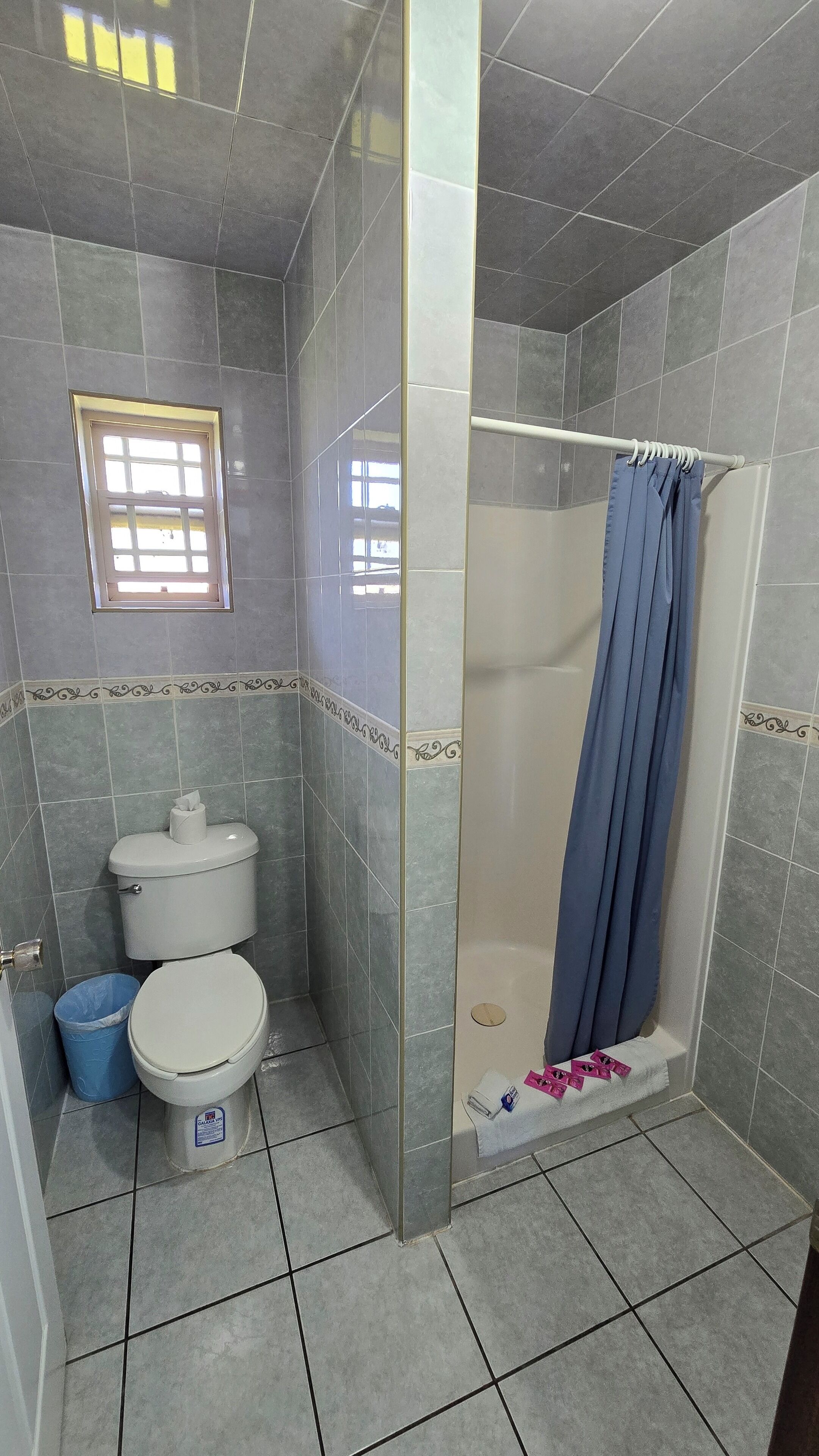 Ein Badezimmer mit Toilette, Dusche und Fenster.