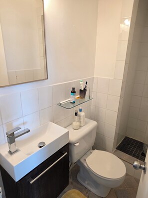 Hair dryer, towels, soap, toilet paper