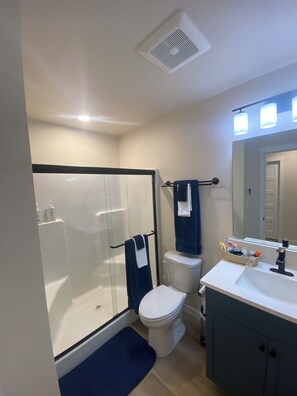 Hair dryer, towels, soap, shampoo