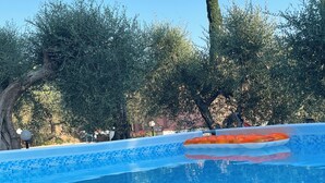 Pool - Shelter among olive trees, Tuscan countryside, a stone's throw from characteristic cities (Toscana)