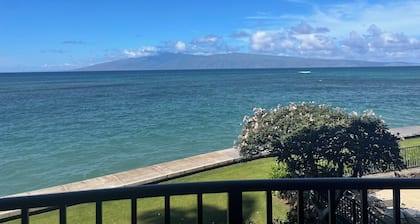 Whale watching from your direct ocean front condo!