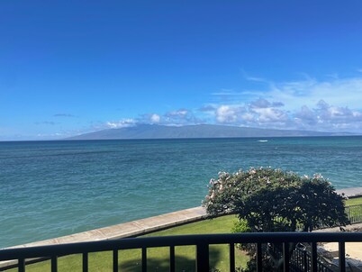 Whale watching from your direct ocean front condo!
