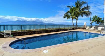 Whale watching from your direct ocean front condo!