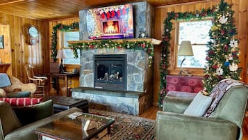 Smart TV, fireplace, books