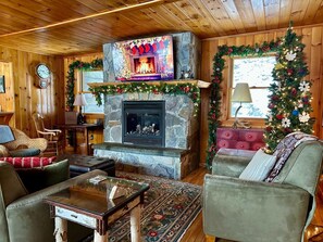 Smart TV, fireplace, books