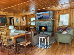 Smart TV, chimenea y libros