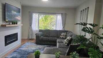 Televisión y chimenea