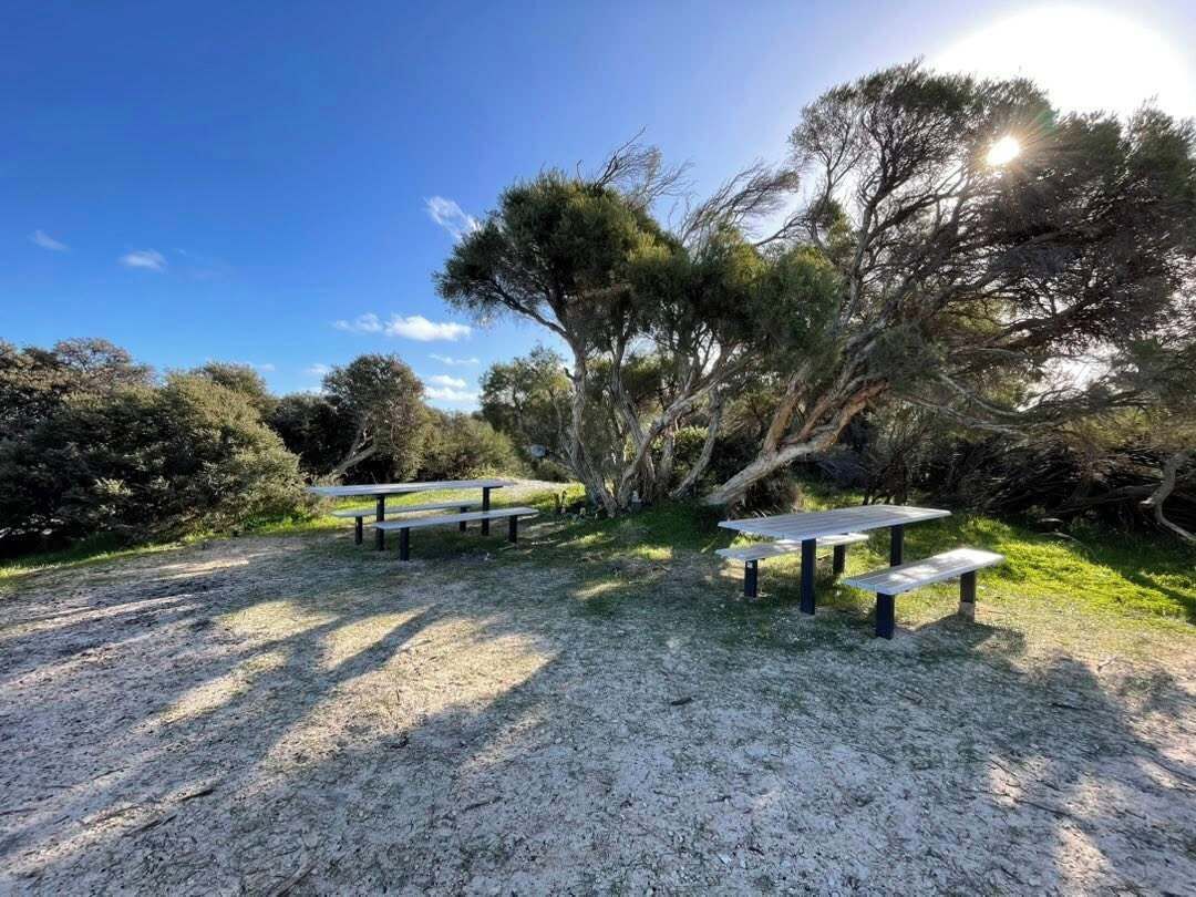 Un espace extérieur aménagé avec des tables de pique-nique et des arbres.