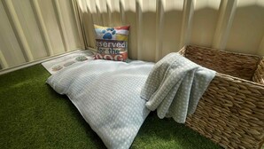 A small, cozy room with a bed, a wicker basket, and a pillow with a dog-themed design. - Wannanup Retreat Short Stay Accommodation. Pet-Friendly! (Wannanup)