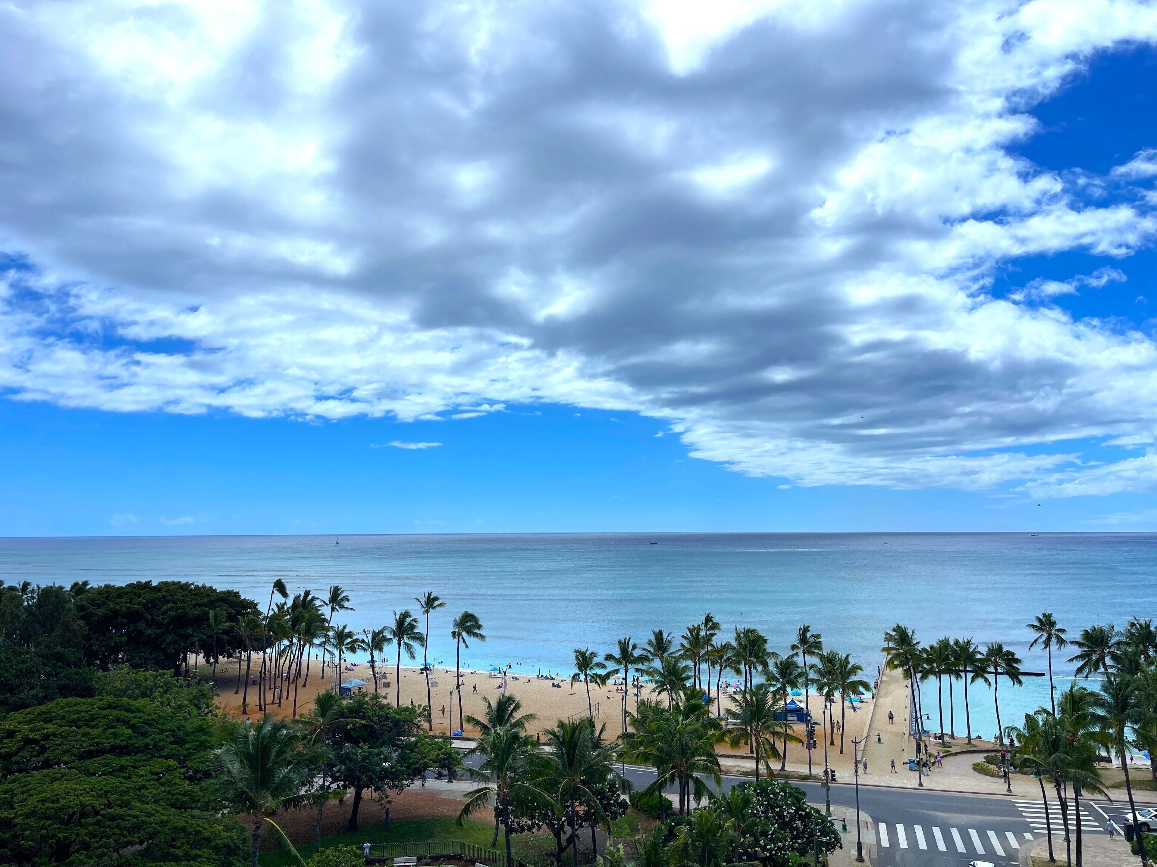 A beach with palm trees and a clear sky.
