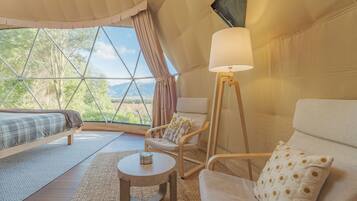 Luxury Apartment, 1 King Bed, Shower Grab Bars, Mountain View