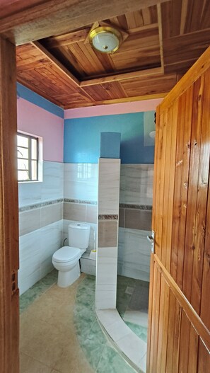 Shower, towels, soap, toilet paper