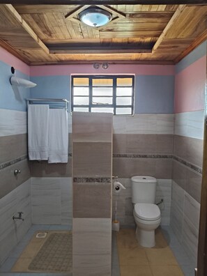 Shower, towels, soap, toilet paper