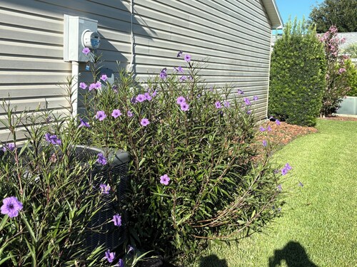 evelyn748 3 bedroom home in sought after Polo Ridge location in The Villages Fl.