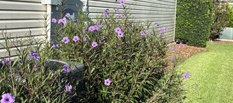 evelyn748 3 bedroom home in sought after Polo Ridge location in The Villages Fl.