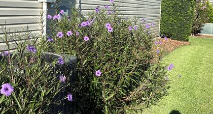 evelyn748 3 bedroom home in sought after Polo Ridge location in The Villages Fl.